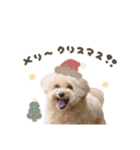 Event stamp 2026（個別スタンプ：14）