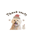 Event stamp 2026（個別スタンプ：15）