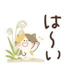 毎日つかえる♡前向きにっこり猫♡秋冬（個別スタンプ：12）