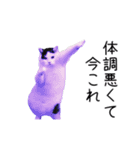 激！動く今これ猫ミーム（個別スタンプ：5）