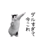 激！動く今これ猫ミーム（個別スタンプ：6）