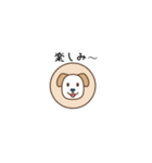 ちょっと間抜けな子犬のLINEスタンプ（個別スタンプ：1）