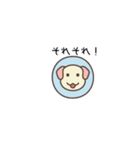 ちょっと間抜けな子犬のLINEスタンプ（個別スタンプ：3）