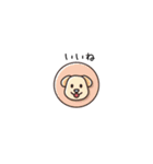 ちょっと間抜けな子犬のLINEスタンプ（個別スタンプ：5）