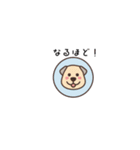 ちょっと間抜けな子犬のLINEスタンプ（個別スタンプ：6）