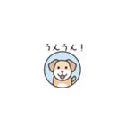 ちょっと間抜けな子犬のLINEスタンプ（個別スタンプ：8）