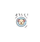 ちょっと間抜けな子犬のLINEスタンプ（個別スタンプ：14）