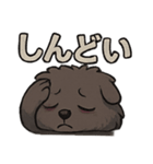 病み可愛チャウチャウの日常スタンプ（個別スタンプ：17）