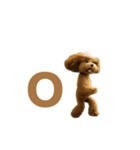 動く！ハゲプードル2(ハゲプー)（個別スタンプ：3）