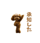 動く！ハゲプードル2(ハゲプー)（個別スタンプ：9）