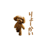 動く！ハゲプードル2(ハゲプー)（個別スタンプ：10）