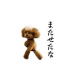 動く！ハゲプードル2(ハゲプー)（個別スタンプ：18）