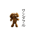 動く！ハゲプードル2(ハゲプー)（個別スタンプ：23）