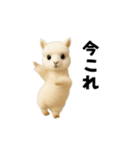 踊る！今これアルパカ（個別スタンプ：1）