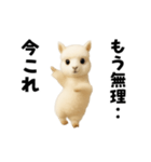踊る！今これアルパカ（個別スタンプ：8）