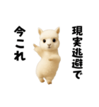 踊る！今これアルパカ（個別スタンプ：11）
