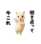 踊る！今これアルパカ（個別スタンプ：12）