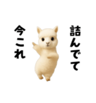 踊る！今これアルパカ（個別スタンプ：13）
