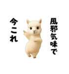 踊る！今これアルパカ（個別スタンプ：21）