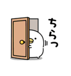 うるせぇトリ★日常で使えるスタンプ（個別スタンプ：37）