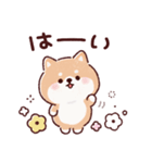 豆柴コロロン♪（個別スタンプ：1）