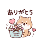 豆柴コロロン♪（個別スタンプ：5）