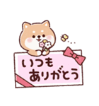 豆柴コロロン♪（個別スタンプ：6）