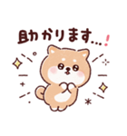 豆柴コロロン♪（個別スタンプ：7）