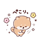 豆柴コロロン♪（個別スタンプ：8）