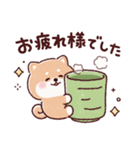 豆柴コロロン♪（個別スタンプ：12）