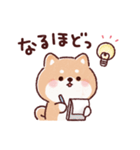 豆柴コロロン♪（個別スタンプ：18）