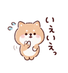 豆柴コロロン♪（個別スタンプ：19）