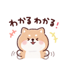 豆柴コロロン♪（個別スタンプ：20）