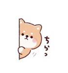 豆柴コロロン♪（個別スタンプ：24）