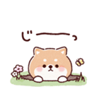 豆柴コロロン♪（個別スタンプ：25）