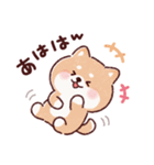 豆柴コロロン♪（個別スタンプ：30）