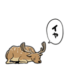 無気力シカ（個別スタンプ：13）