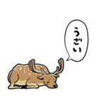 無気力シカ（個別スタンプ：17）