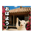 仲良し三匹 記念写真編（個別スタンプ：1）