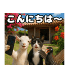 仲良し三匹 記念写真編（個別スタンプ：2）