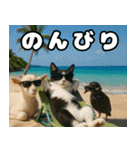 仲良し三匹 記念写真編（個別スタンプ：17）