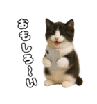 仲良し三匹 記念写真編（個別スタンプ：21）