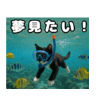 仲良し三匹 記念写真編（個別スタンプ：23）