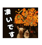 仲良し三匹 記念写真編（個別スタンプ：24）