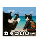 仲良し三匹 記念写真編（個別スタンプ：25）