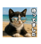 仲良し三匹 記念写真編（個別スタンプ：29）