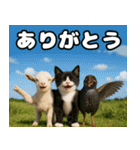 仲良し三匹 記念写真編（個別スタンプ：35）