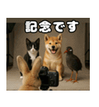 仲良し三匹 記念写真編（個別スタンプ：40）