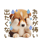 ネガティブなコーギーのスタンプ✿.•（個別スタンプ：6）