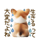 ネガティブなコーギーのスタンプ✿.•（個別スタンプ：8）